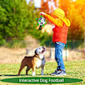 Miniatyrbild 5 av 5: Hundleksak - Interaktiv hundboll - Hållbart utomhusleksak för dragkamp