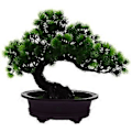 Pikkukuva 1 / 3: Keinotekoinen mänty ruukussa Bonsai-puu Koti Toimisto Pöytäkasvi Koriste