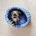 Miniatyrbillede 4 af 5: Kattepuder Seng Flere Størrelser og Farver Vinter Blød Rund Sofaseng Katteseng til Indendørs Katte Sofa vandmelon rød 30cm(30cm vandmelon rød)