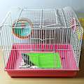 Miniatyrbillede 4 af 5: Grøn lille sovepose til kæledyr med pude og tæppe til hamster
