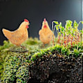 Miniatyrbillede 3 af 4: 3 stk. Livagtige Kyllingestatuer Simulerede Høneornamenter Resin Hønefigurer