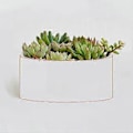 Miniatyrbild 2 av 5: Silikonblomkruka Form DIY Handgjord Betongkopp Form Hantverksprojekt