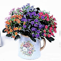 Miniatyrbillede 4 af 5: 1 stk. 6 Grene 36 Hoveder Simulation Silke Blomst Milan DIY Kunst Bryllup Hjem Indretning Qinhai (Lys Lilla)