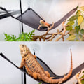 Miniatyrbillede 4 af 5: 2 stk. reptilhængekøjer, firbenhængekøje, reptilfirbenhængekøje