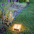 Miniatyrbild 3 av 3: Set med 4 stora varmvita LED-etsade glas solcellslampor
