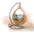 Miniatyrbild 3 av 5: Liten hängande blomkruka - blomkruka - inomhus- och utomhusbruk -