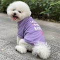 Miniatyrbillede 2 af 5: Hundeklæder til sommerhvalpe, t-shirt til hunde, vest til hund, blød sweatshirt til chihuahua, yorkshire, hundeklæder, str. 15 (M)