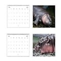Miniatyrbild 5 av 5: Moo Deng-Hippo 2025 Kalender Tjockt Papper 12 Månader Väggkalender Liten Anteckningsbok Kalender Present för Hemmet (B)