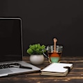 Miniatyrbild 3 av 5: 5-pack Infuser Teinfuser Diffuser Filter Tesil Hand