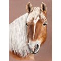 Miniatyrbilde 1 av 5: 30x40 cm 5D DIY Diamantmaleri Komplett, 5D Hest Enhjørning, DI
