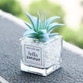 Pikkukuva 3 / 4: Mini pehmeä lasinen bonsaipuu keinotekoinen mehikasvi ruukkuplantaasi (ananas