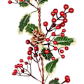 Miniatyrbillede 3 af 5: 1 stk. Julebær Holly Garland, 190cm Juleguirlander