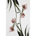 Miniatyrbild 5 av 5: Wekity Tulpan Väggkonst Canvas Print Poster, Enkel Modekonst Ritning Dekoration för Hem Vardagsrum Sovrum Kontor och Barnrum (Set om 3 Oinramade