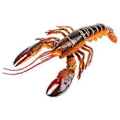 Miniatyrbillede 1 af 3: Simuleret Hummer Model Hummer Figur Hummer Legetøj Simuleret Dyr Uddannelsesmæssig Model