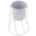 Pikkukuva 2 / 5: Nordic Stand Mehikasvi kukka väri vihreä Ruukku Minimalistinen metallinen rautamaljakko Työpöydän koristelu rekvisiitta (B Valkoinen)
