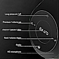Pikkukuva 4 / 5: Langattomat Bluetooth-kuulokkeet, kokoontaitettavat stereo superbassokuulokkeet (Punainen)