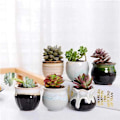 Miniatyrbillede 2 af 5: 6 stk. keramiske blomsterpotter, mini-sukkulentpotte, kaktusplantepotte til