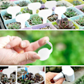 Miniatyrbillede 4 af 5: 100 stk. T-formede plantelabels Blanke haveetiketter Plastik plante
