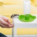 Miniatyrbilde 2 av 4: 1 stk Reptil Automatisk Vannmater Basseng Drikkefontene Skilpadde Øgle Vannbrett Mater
