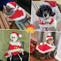 Miniatyrbild 5 av 5: Juldräkter för hund Jul kattkläder Hundkostym Båge T