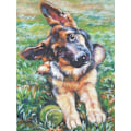 Pikkukuva 1 / 5: 30 x 40 cm, Koira Timanttimaalaus Kirjonta Timanttimaalaus Canv