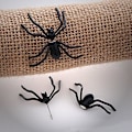 Miniatyrbilde 5 av 5: 1 par Halloween edderkopp øredobber Halloween kostyme kvinner jenter