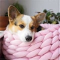 Miniatyrbillede 5 af 5: Kattepuder Seng Flere Størrelser og Farver Vinter Blød Rund Sofaseng Katteseng til Indendørs Katte Sofa Pink 30cm (30cm Pink)