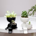 Miniatyrbillede 3 af 5: Keramisk Blomsterpot Portræt Blomsterpot Bordplade Sukkulent Kaktus