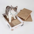 Miniatyrbild 3 av 5: Kattklösare, set med 3 kattklösare, wellpapp för