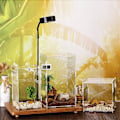 Miniatyrbillede 5 af 5: Terrarium til reptiler, insekter, firben, slanger og edderkopper