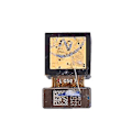 Miniatyrbilde 3 av 5: Foranvendt kamera-modul for Huawei P9 Plus