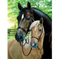 Miniatyrbillede 1 af 5: 5D Diamantmaleri Kit 30x40cm DIY Farverig Hest Diamantkunst