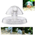 Miniatyrbillede 4 af 5: Sæt med 3 sneglefælder i plast til akvarium 8 cm