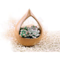 Miniatyrbild 2 av 5: Liten hängande blomkruka - blomkruka - inomhus- och utomhusbruk -