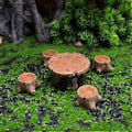 Miniatyrbillede 2 af 5: Landskabs Ornament Håndværk Fremragende Udførelse Udsøgt Harpiks Håndværk Have Miniature Bord Stol til Hjem Skrivebord Qinhai(1 )