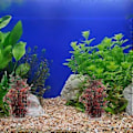 Miniatyrbillede 3 af 4: 2 stk. Akvarium Plastplanter Dekorationer Akvarium Kunstige Vandplanter