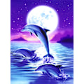 Miniatyrbillede 1 af 5: Malet 30*40cmure 5D Diamant Fuld Diamant Korssting(17)Dolphi
