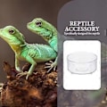 Miniatyrbillede 2 af 2: 30 stk. Glasbeholdere Gecko Vandskål Skildpadde Vandfad Terrarium Vandskåle Reptil Vandkop Reptil Madskål