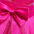 Miniatyrbild 2 av 5: 2023 Nyfödda flickors Pageant Spetsbroderade Klänningar Toddler Party Bowknot Tutu Klänning (100 Ljusblå)