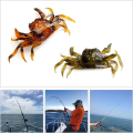 Miniatyrbild 5 av 5: Fiskebete Krabba Bete Simulering Bete Krokar 3D Simulerad Krabba Bete
