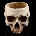 Miniatyrbillede 3 af 5: Harpiks Kranie Blomsterpot Kranie Vase Harpiks Hoved Model til Halloween