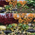 Miniatyrbillede 5 af 5: 3 stk. Miniature Frø Havedekoration Frø Simulation Dyr Dec