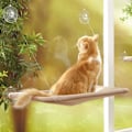 Miniatyrbilde 1 av 5: Katt seng vindu, plassbesparende design hengekøye katt vindusse seng