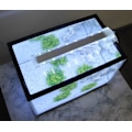 Miniatyrbillede 4 af 5: (12cm) Nedsænkelig LED-akvarielampe til planter hvidt og blåt lys 3W