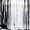 Miniatyrbild 4 av 5: Tulles Bakgrund Draperingar Gardin Halvmörkläggande Design Elegant Gardin för Bröllop (134*240 Punch Grön)