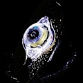 Miniatyrbild 5 av 5: Underwater Spoons Fiskebete Luminous Bete för Att Locka Fisk