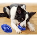 Pikkukuva 1 / 5: Sininen Molaire Pure Chew Rugby Sound -pallo