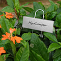 Miniatyrbillede 5 af 5: 15x metal plantelabels - Overflade 9x3cm Højde 27cm