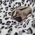 Pikkukuva 4 / 4: Rotta riippumatto roikkuva sänky marsu 3 kerroksella fretin chincille