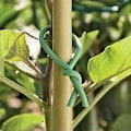 Miniatyrbillede 3 af 5: Haveplanter Tråd, 2 x 10m Grøn Have Blød Bånd, Blød Plante Twis